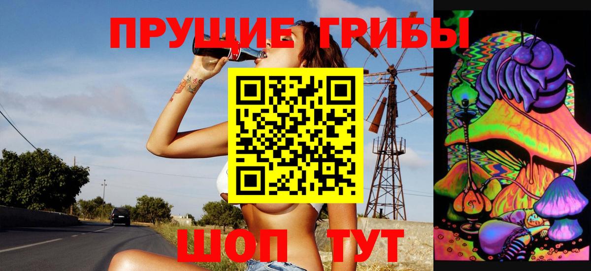Азнакаево  Псилоцибиновые грибы GOLDEN TEACHER  Вход с VPN 